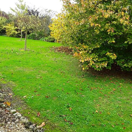 Chambre D'Hotes Cote Jardin Soulignonne 外观 照片