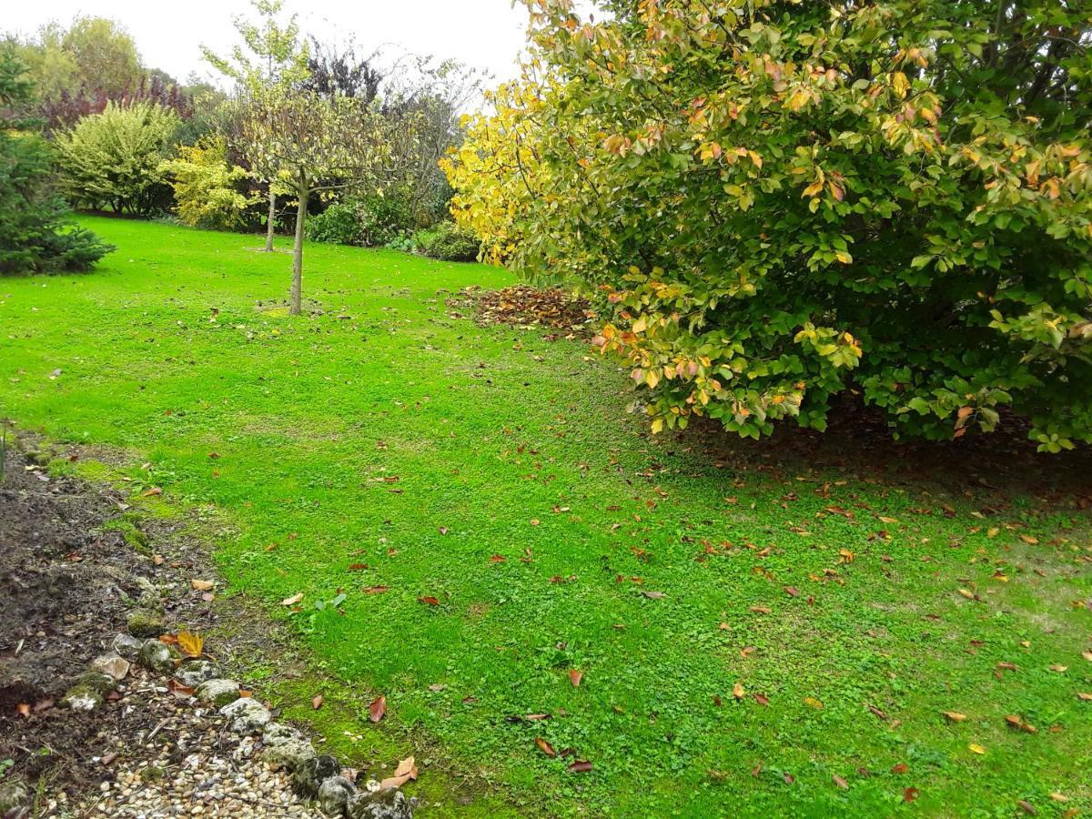 Chambre D'Hotes Cote Jardin Soulignonne 外观 照片